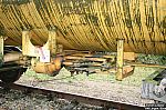 20081120-47.JPG 20081120-47.JPG