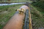 20081120-57.JPG 20081120-57.JPG