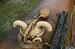20081120-58.JPG 20081120-58.JPG