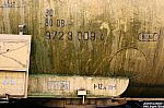 20081120-63.JPG 20081120-63.JPG