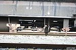 20090301-12.JPG 20090301-12.JPG
