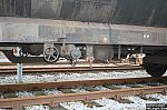 20090301-39.JPG 20090301-39.JPG