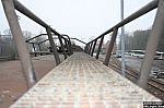 20090301-47.JPG 20090301-47.JPG