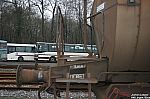 20090301-82.JPG 20090301-82.JPG