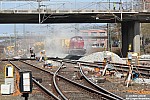20130420-29.JPG 20130420-29.JPG